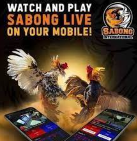 ph sabong watch and play sabong live on your mobile