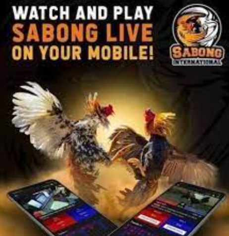 Sabong bonus watch and play sabong live on your mobile 