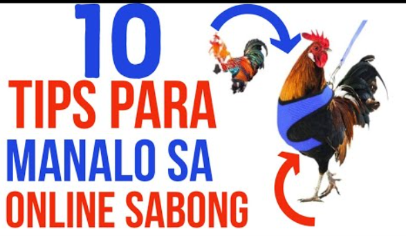 online sabong tips register to ye7 online sabong and claim 888 free bonus