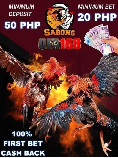 what is online sabong register to ye7 minimum deposist 50 php minimum bet 20 php  100% first bet cash back